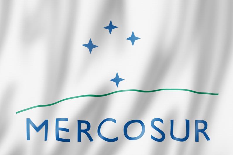 Todo lo que necesita saber sobre el Mercosur y su traducción multilingüe